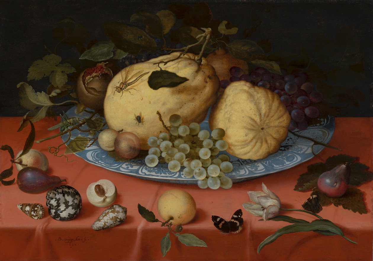 Nature morte aux fruits avec coquillages et tulipe - Balthasar van der Ast