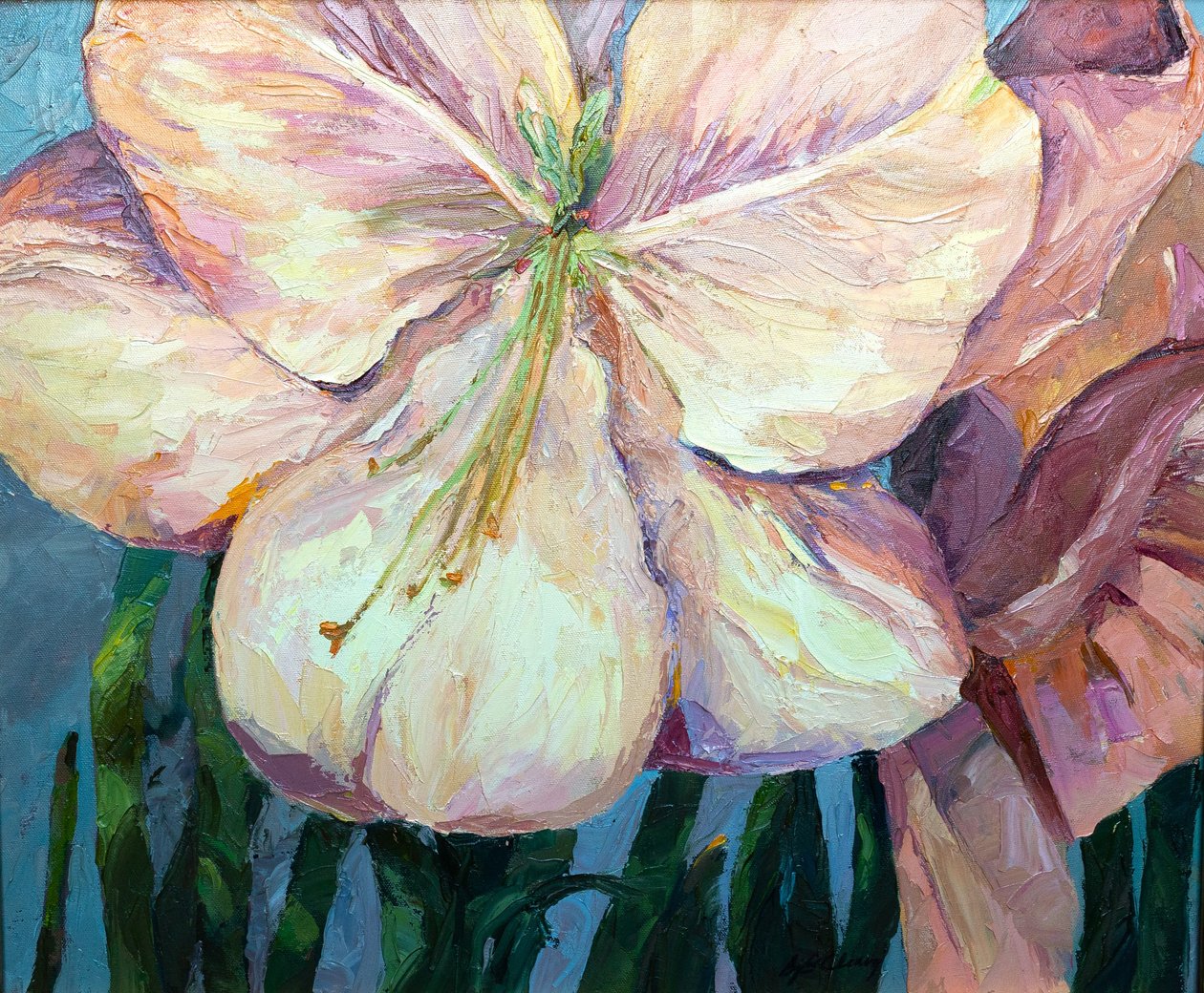 Amaryllis 1, 2004 (huile sur toile) - Barbara Cleary