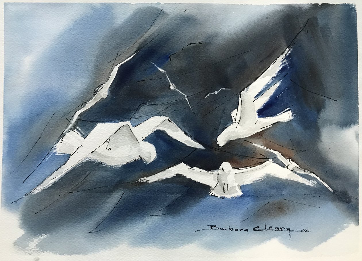 Mouettes - Barbara Cleary