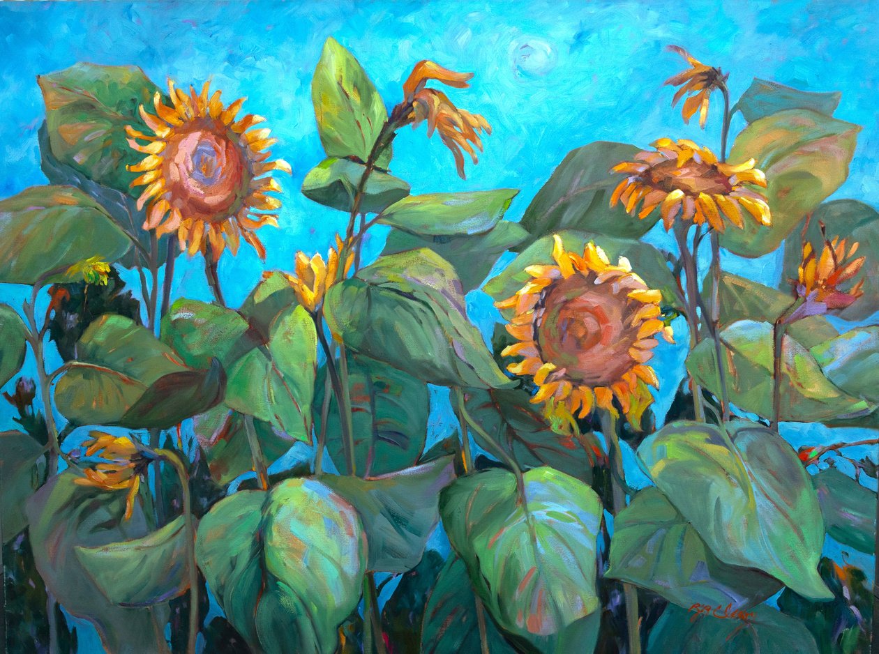 Tournesols 2, c.1990-2005 (huile sur toile) - Barbara Cleary