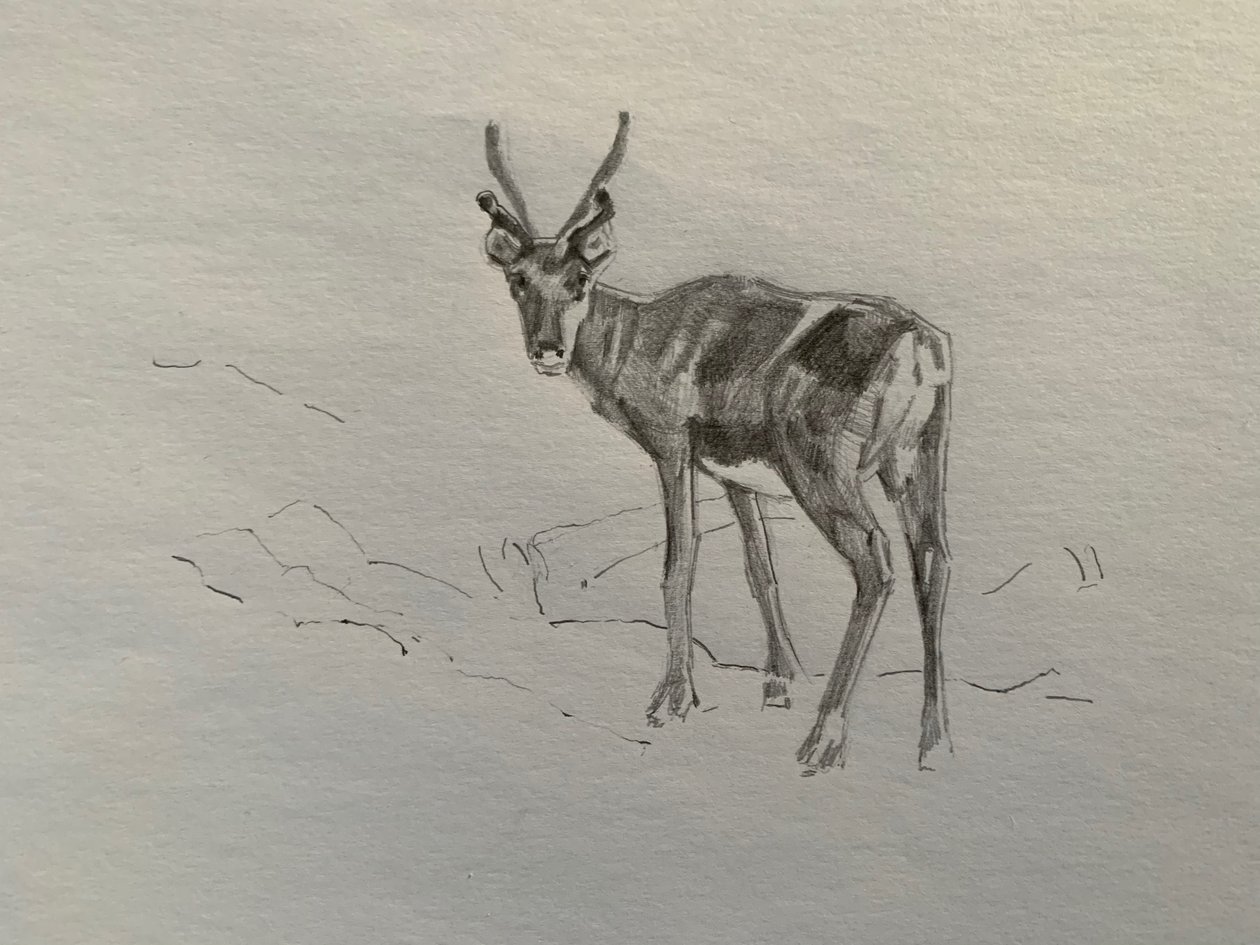 Renne, 2019 - Barbara Hoogeweegen