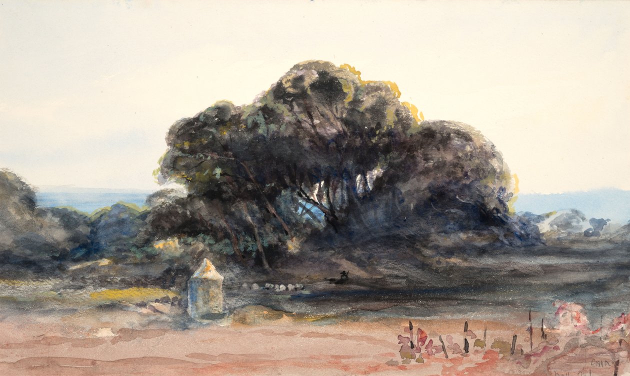 Paysage : Pin et petite tourelle - Barbara Leigh Smith Bodichon