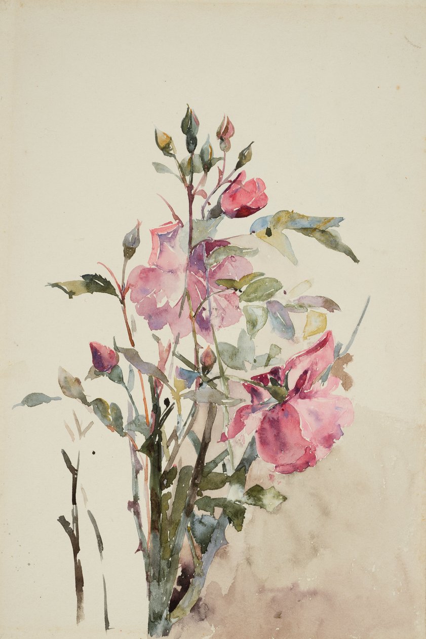 Tiges de fleurs roses - Barbara Leigh Smith Bodichon