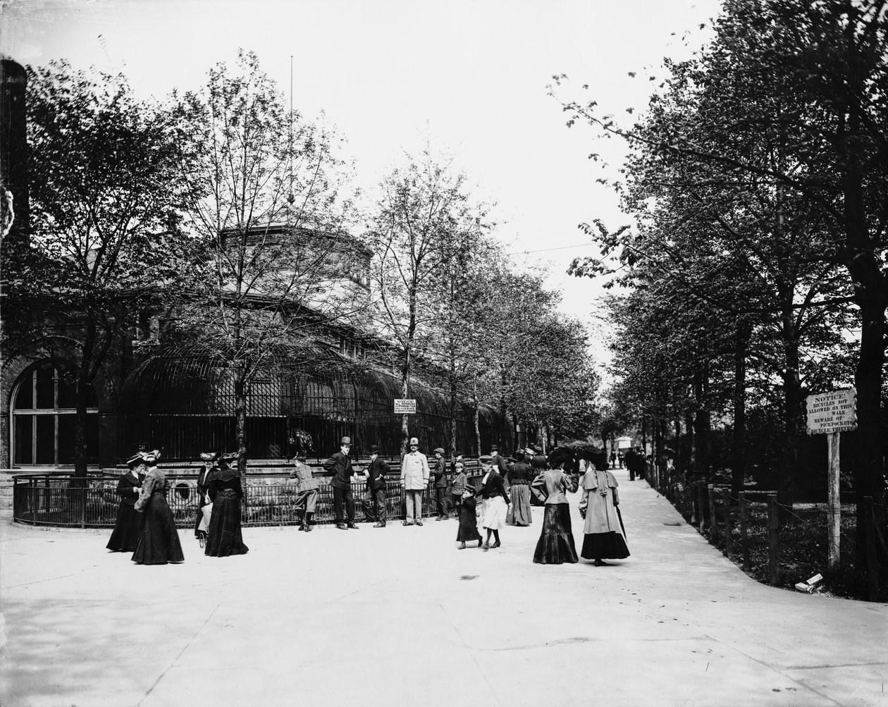 Zoo de Lincoln Park, Chicago, Illinois, USA, c.1900 - Barnes and Crosby