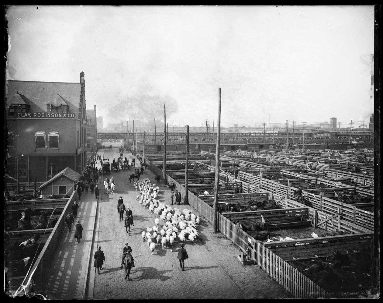 Union Stock Yards, Chicago, Illinois, USA, vers 1910 (photo n/b) - Barnes and Crosby