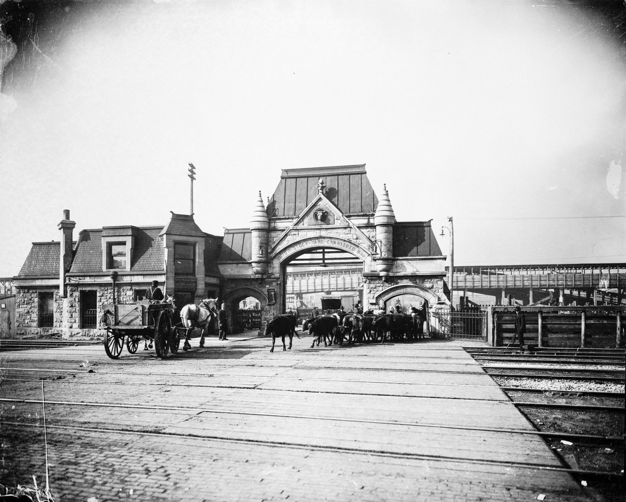Porte des Union Stock Yards sur Exchange Avenue, Chicago, Illinois, USA, c.1905 (photo n/b) - Barnes and Crosby
