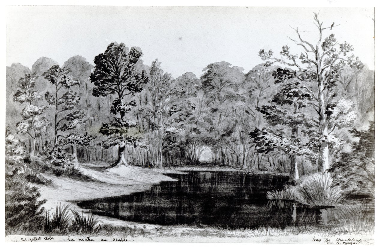 La Mare du Diable dans le Bois de Chanteloup, 1844 - Maurice Sand