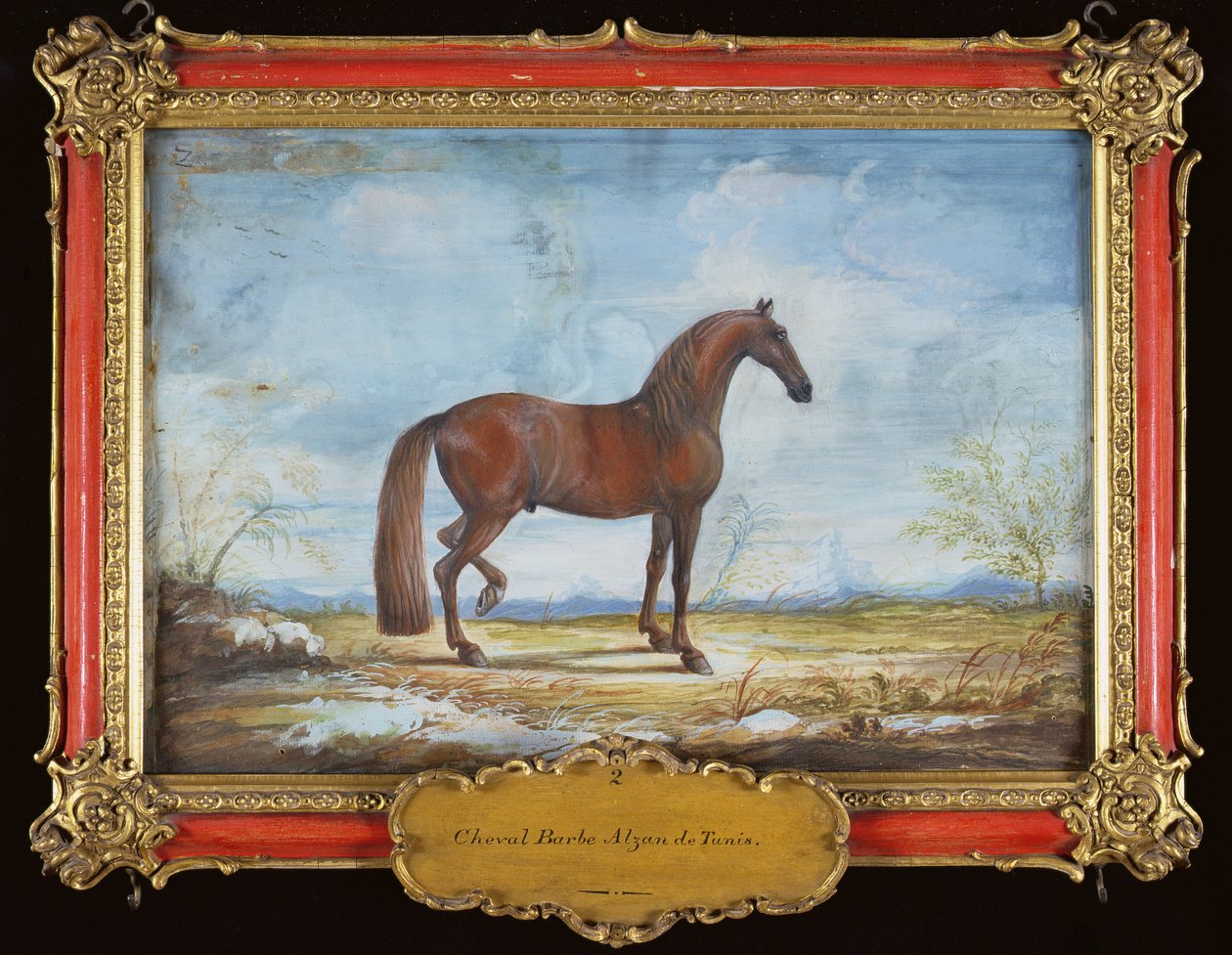 No. 2 Alzan de Tunis, un cheval barbare de l