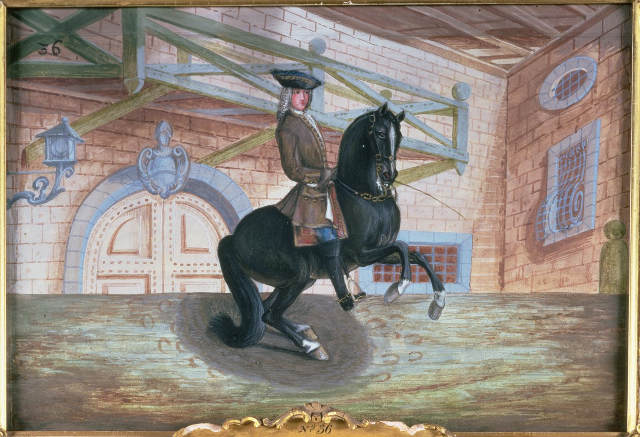 No. 36 Un cheval bai brun de la Haute École Espagnole exécutant une pirouette près du sol - Baron Reis Eisenberg