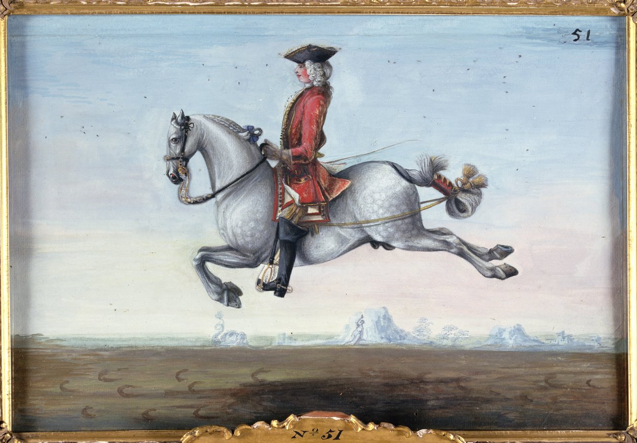 Un cheval gris pommelé de l