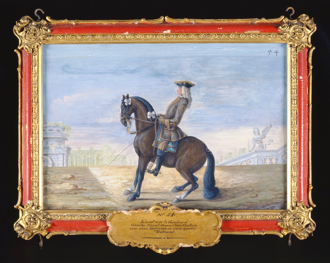 Un cheval bai danois de l