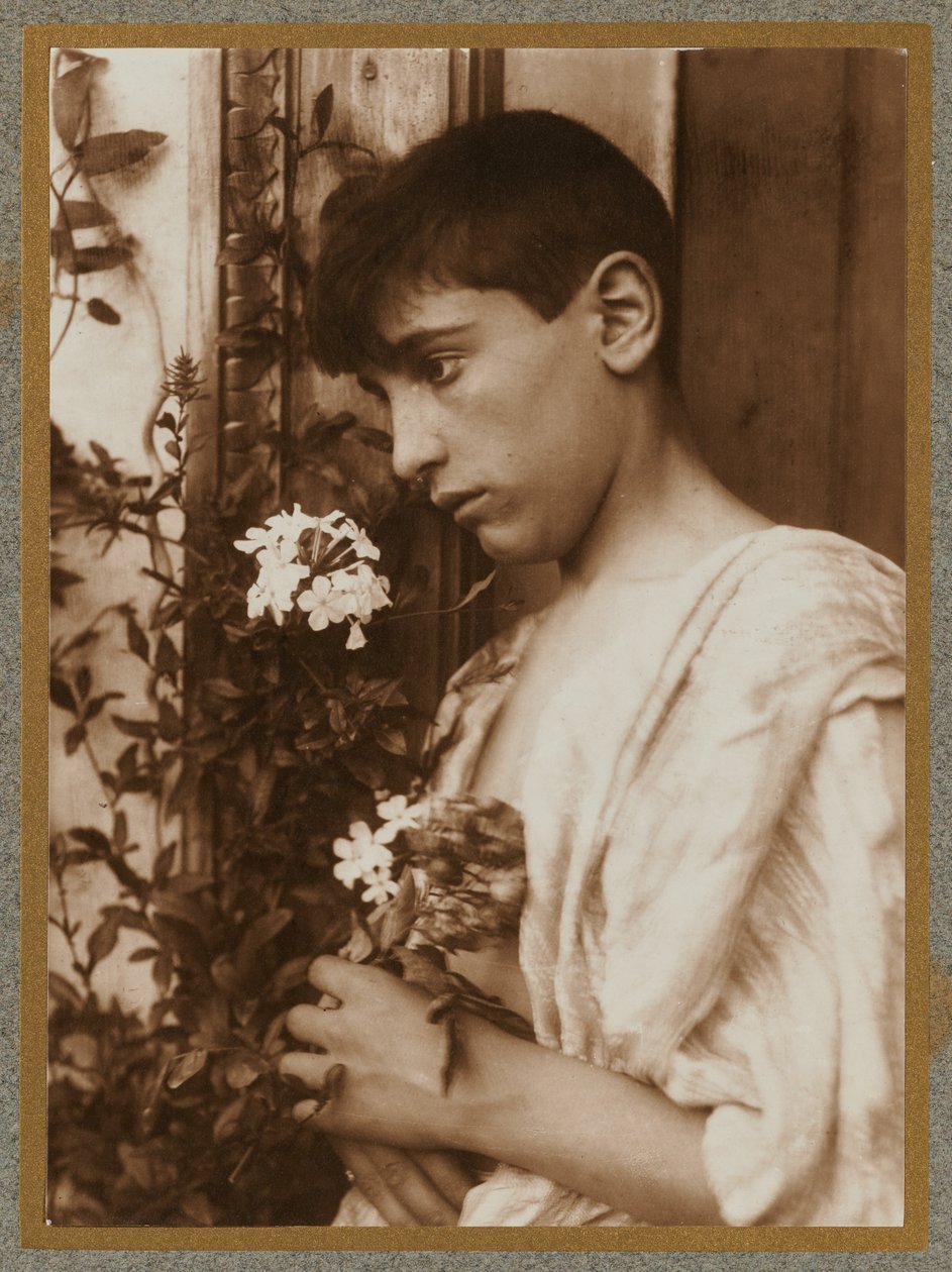 Garçon sicilien - Baron Wilhelm von Gloeden