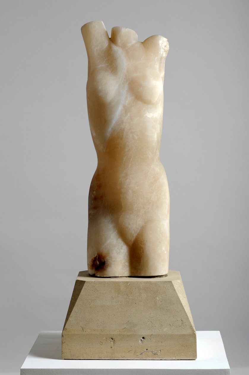 Torse - Barry Hart