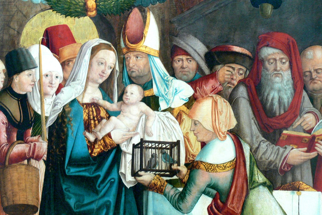 French : Aile de l