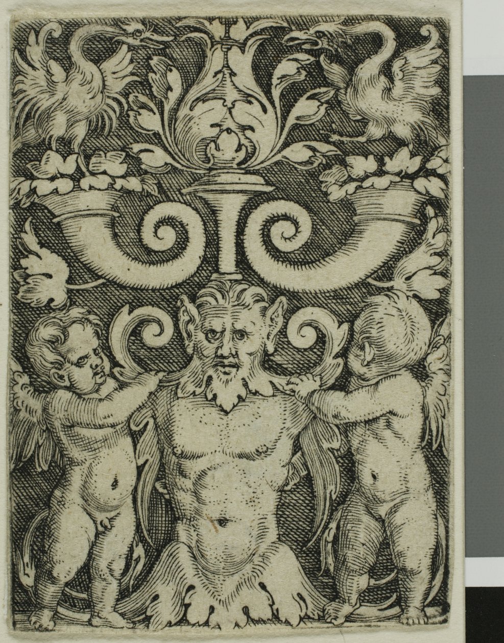 Ornement avec un demi-longueur masculin entre deux génies - Barthel Beham