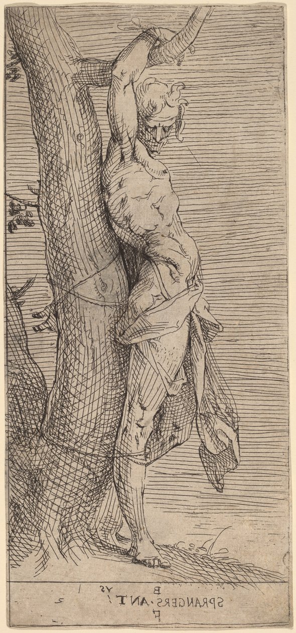 Saint Sébastien, attaché à un arbre - Bartholomaeus Spranger