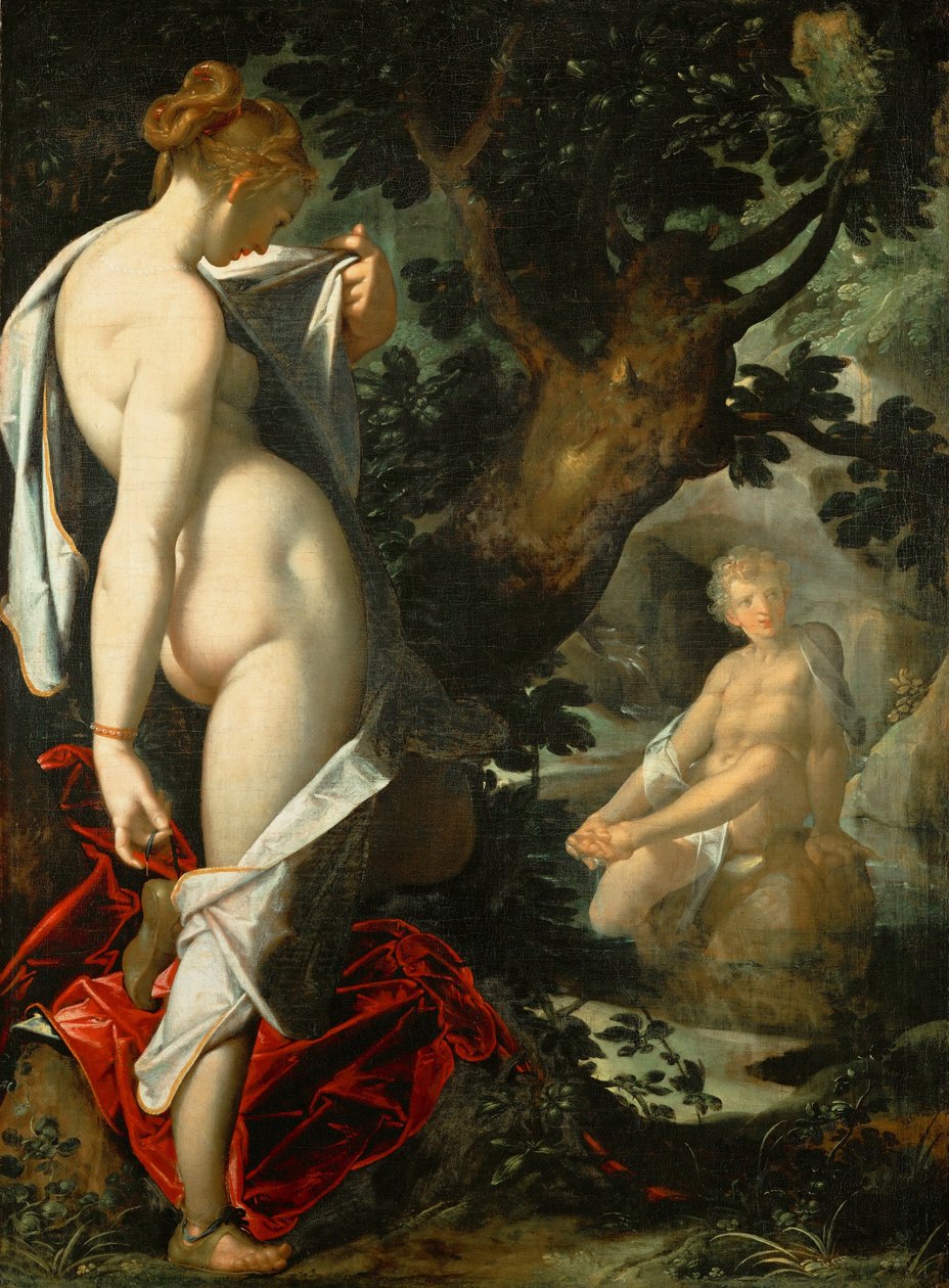 Allemand : Hermaphroditus und die Nymphe Salmacis Hermaphroditus et la nymphe Salmacis - Bartholomeus Spranger