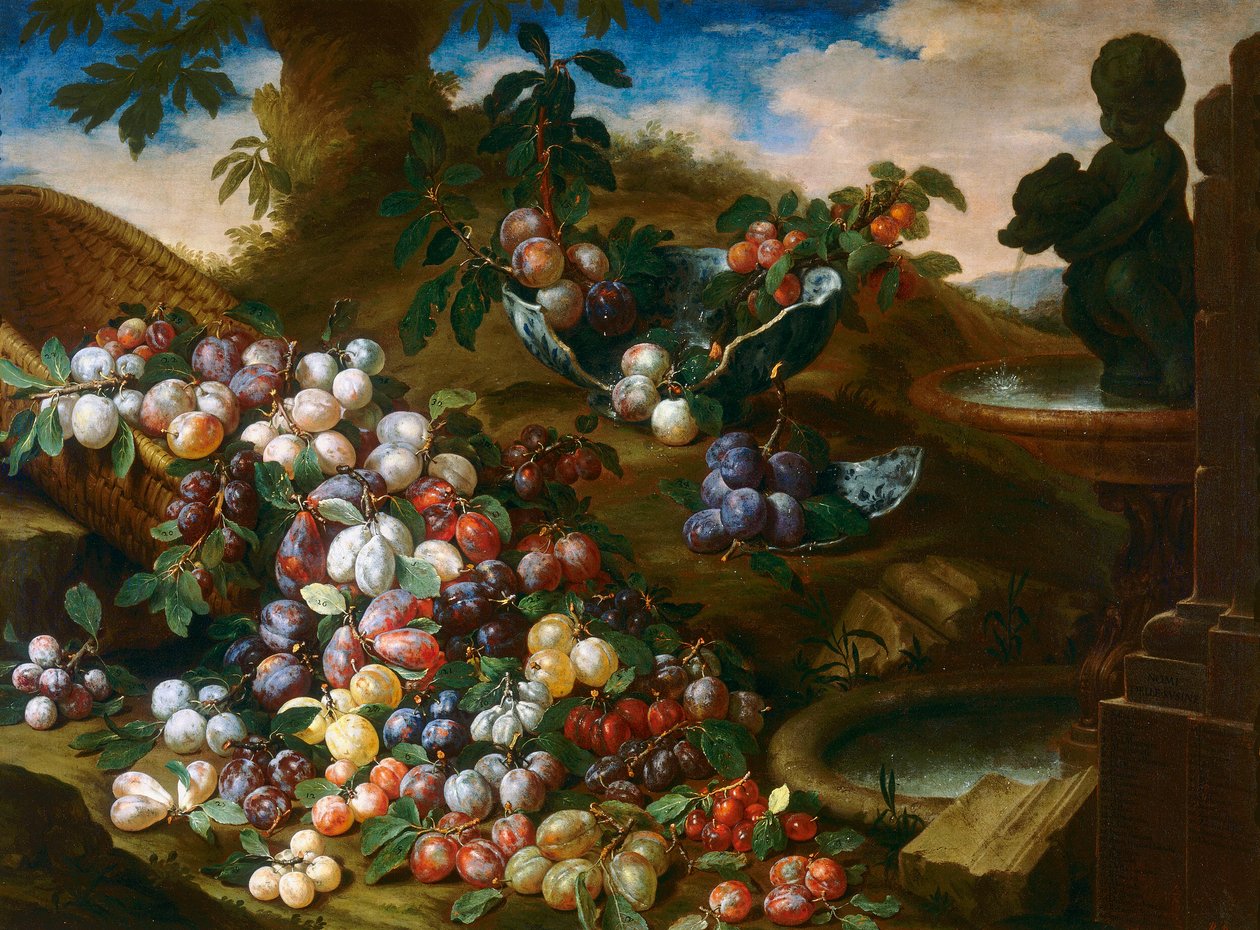 Prunes - Bartolomeo Bimbi