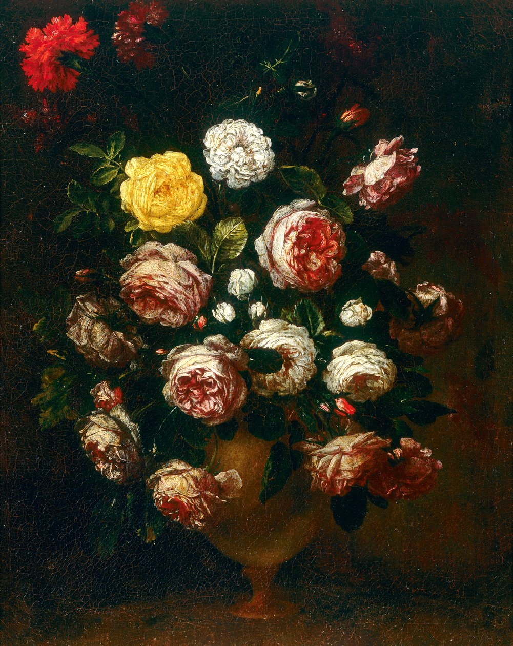 Vase de roses, peinture de Bartolomeo Bimbi - Bartolomeo Bimbi
