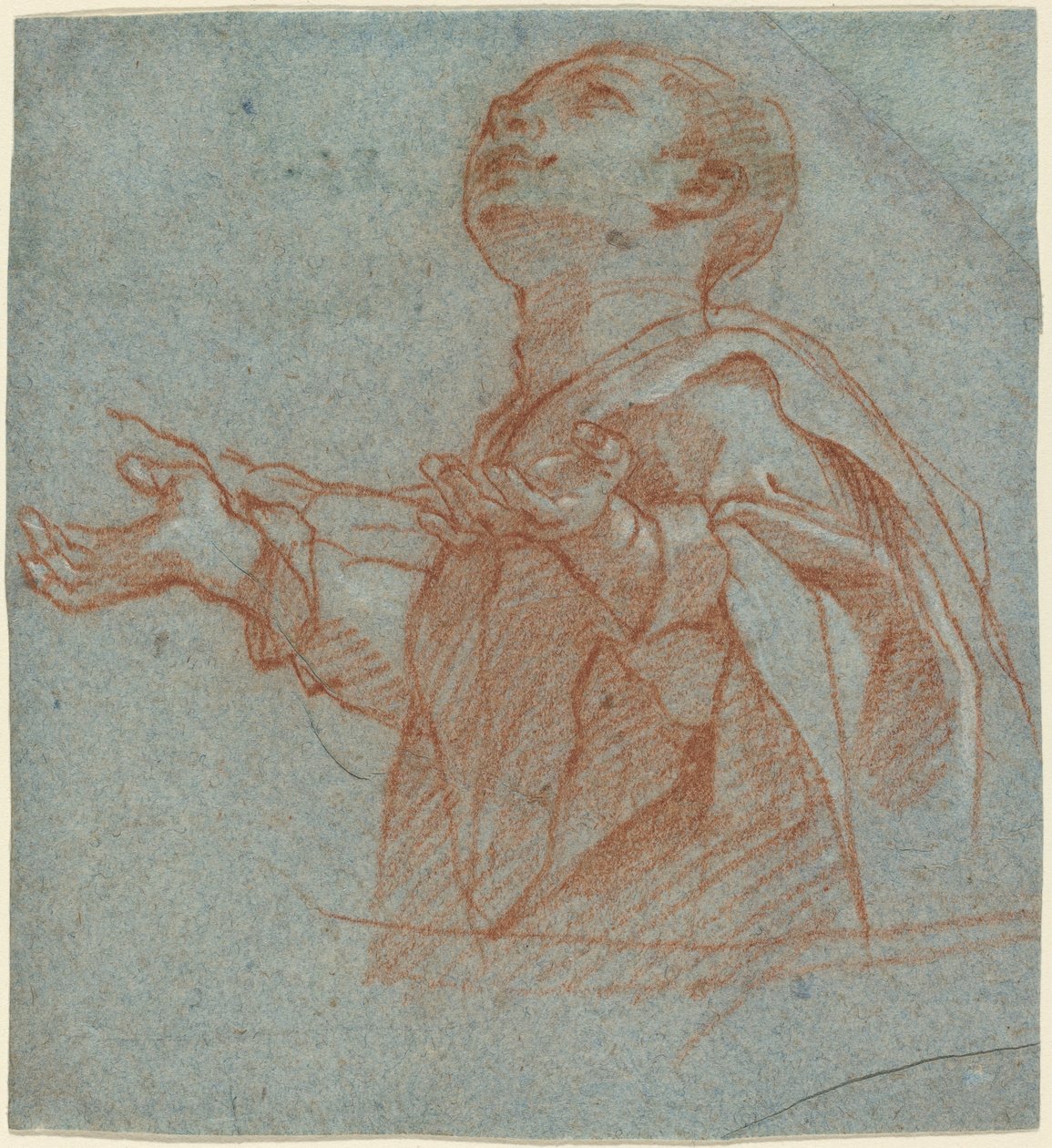 Un garçon regardant vers le haut en adoration - Bartolomeo Cesi