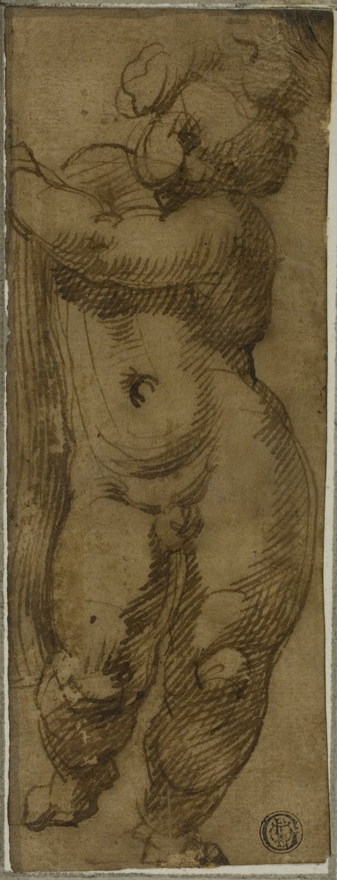 Putto debout vu de face : Étude pour la Vierge en gloire avec les saints Pétrone, Dominique et Pierre Martyr - Bartolomeo Passarotti