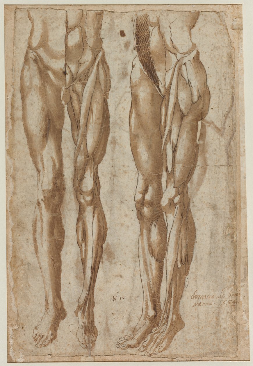 Deux études d