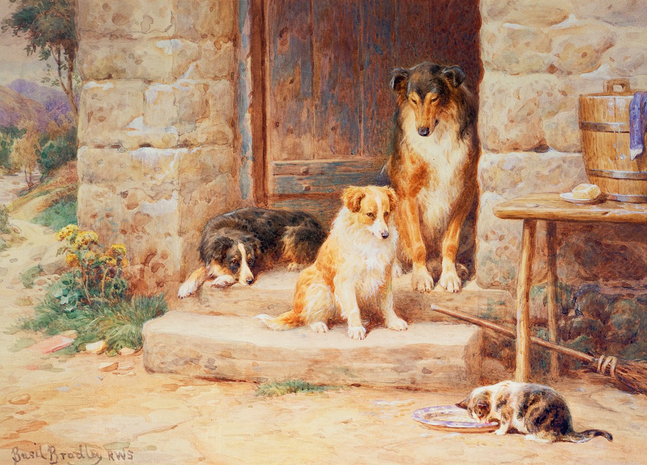 Vivre et laisser vivre - Basil Bradley