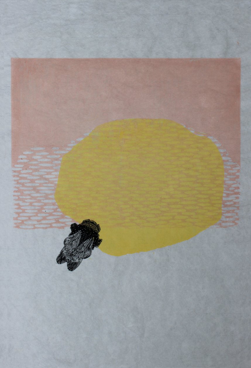 Bourdon et Soleil, 2013 (aquarelle et gravure sur bois sur washi) - Bella Larsson