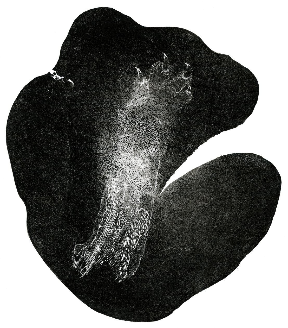 Pied-de-Griffe, 2014 - Bella Larsson