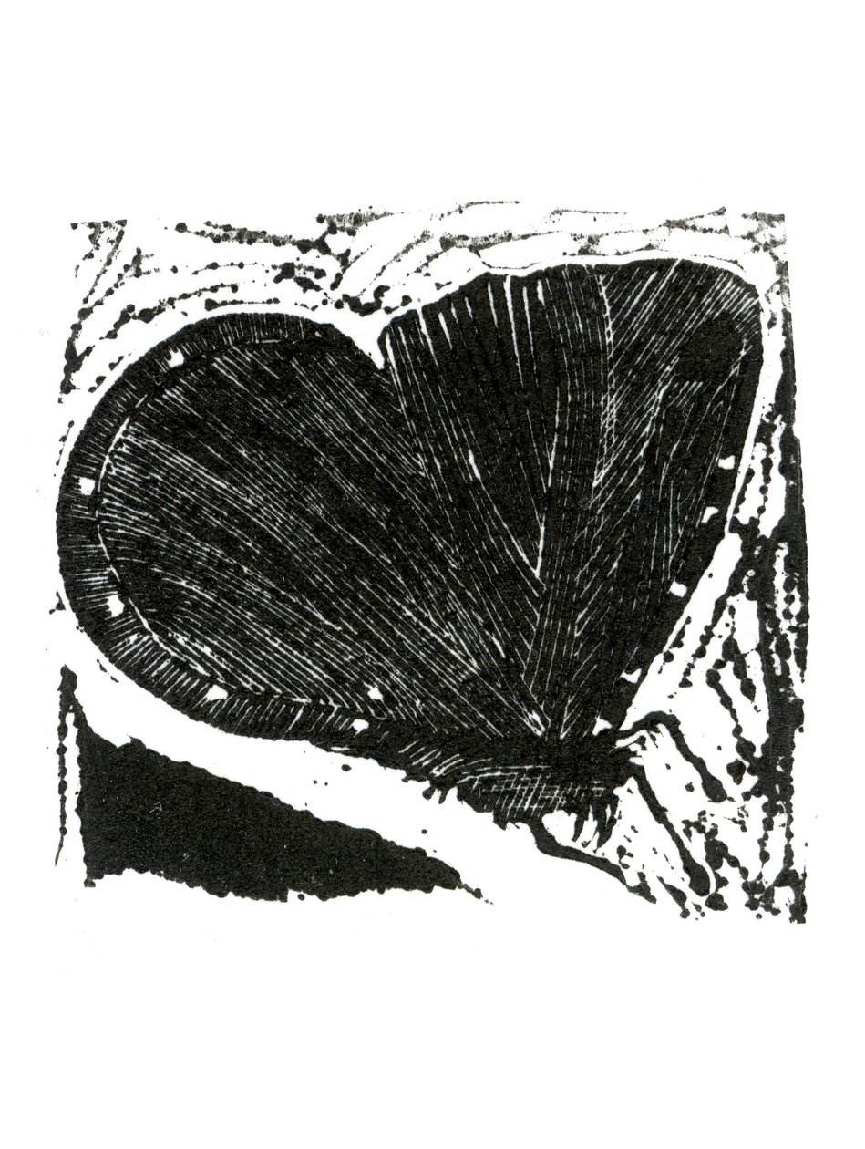 Papillon sombre, 2013 - Bella Larsson