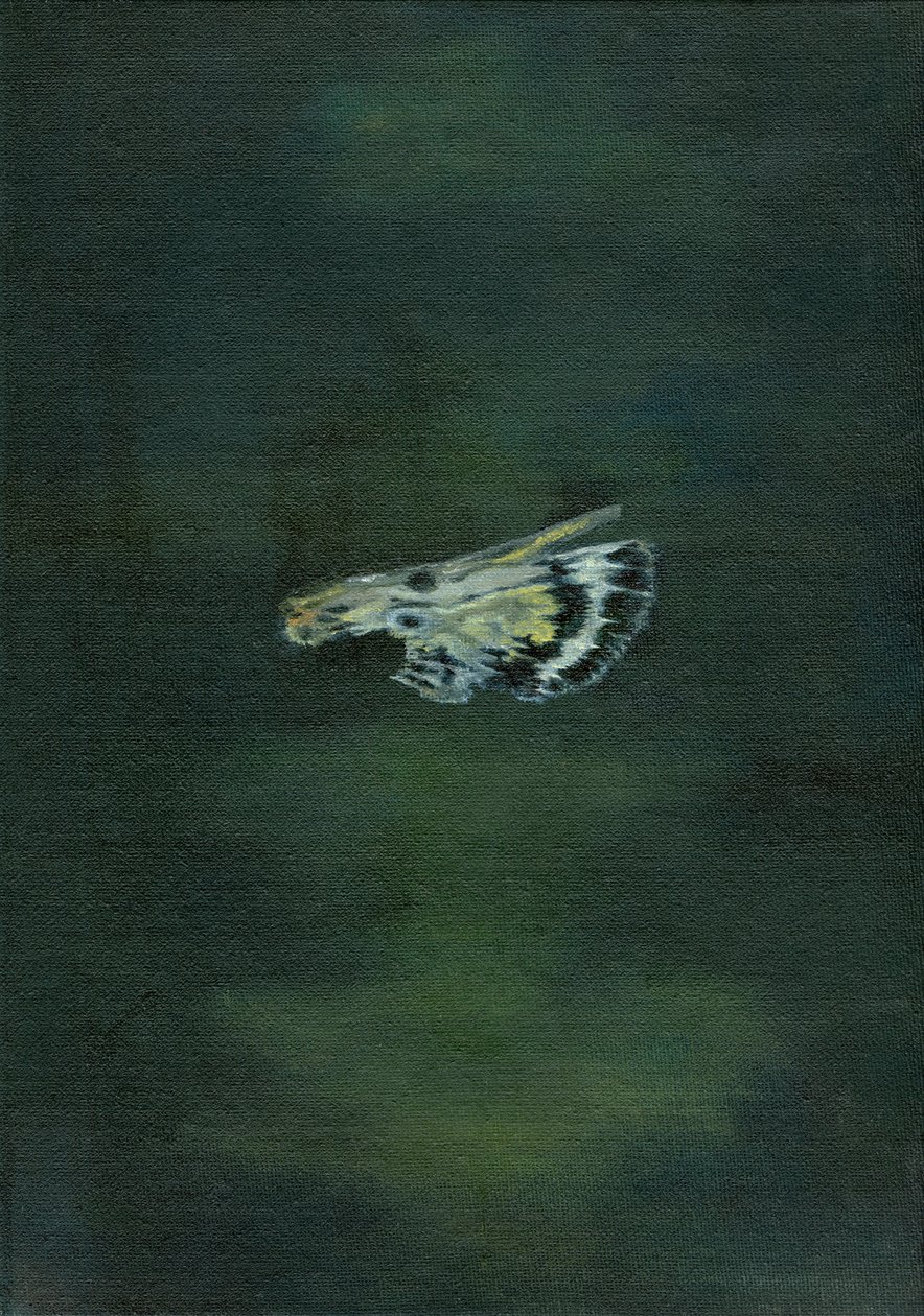 Aile de papillon, 2014 - Bella Larsson