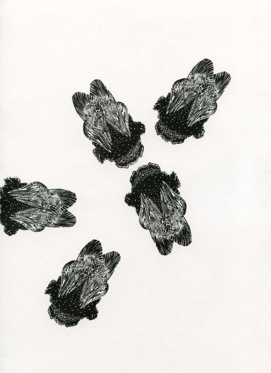 Réunion de Bourdons, 2013 (gravure sur bois sur papier) - Bella Larsson