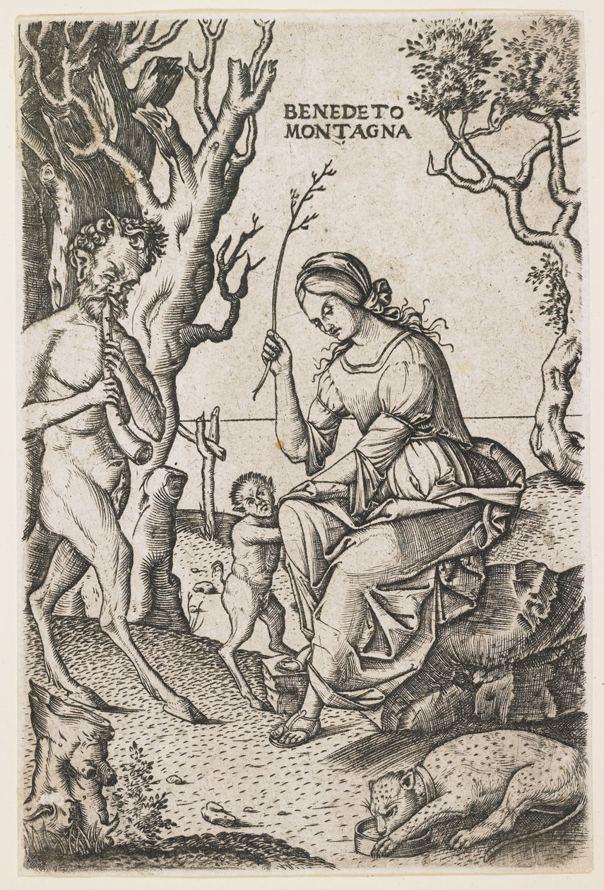 Famille de satyres, vers 1520 - Benedetto Montagna