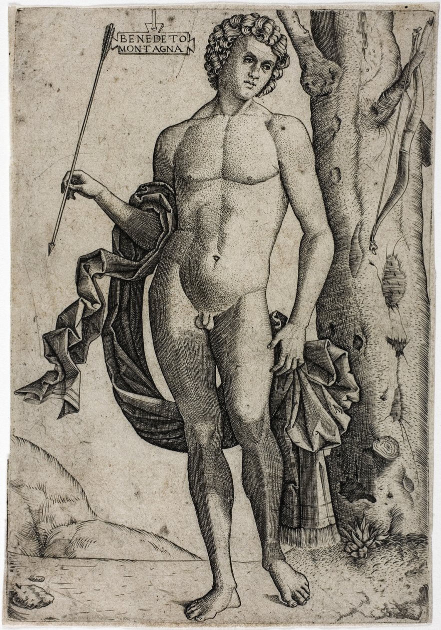 Un jeune homme avec une flèche - Benedetto Montagna
