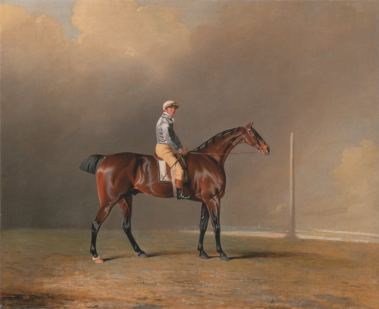 Diamond, avec Dennis Fitzpatrick en Selle - Benjamin Marshall