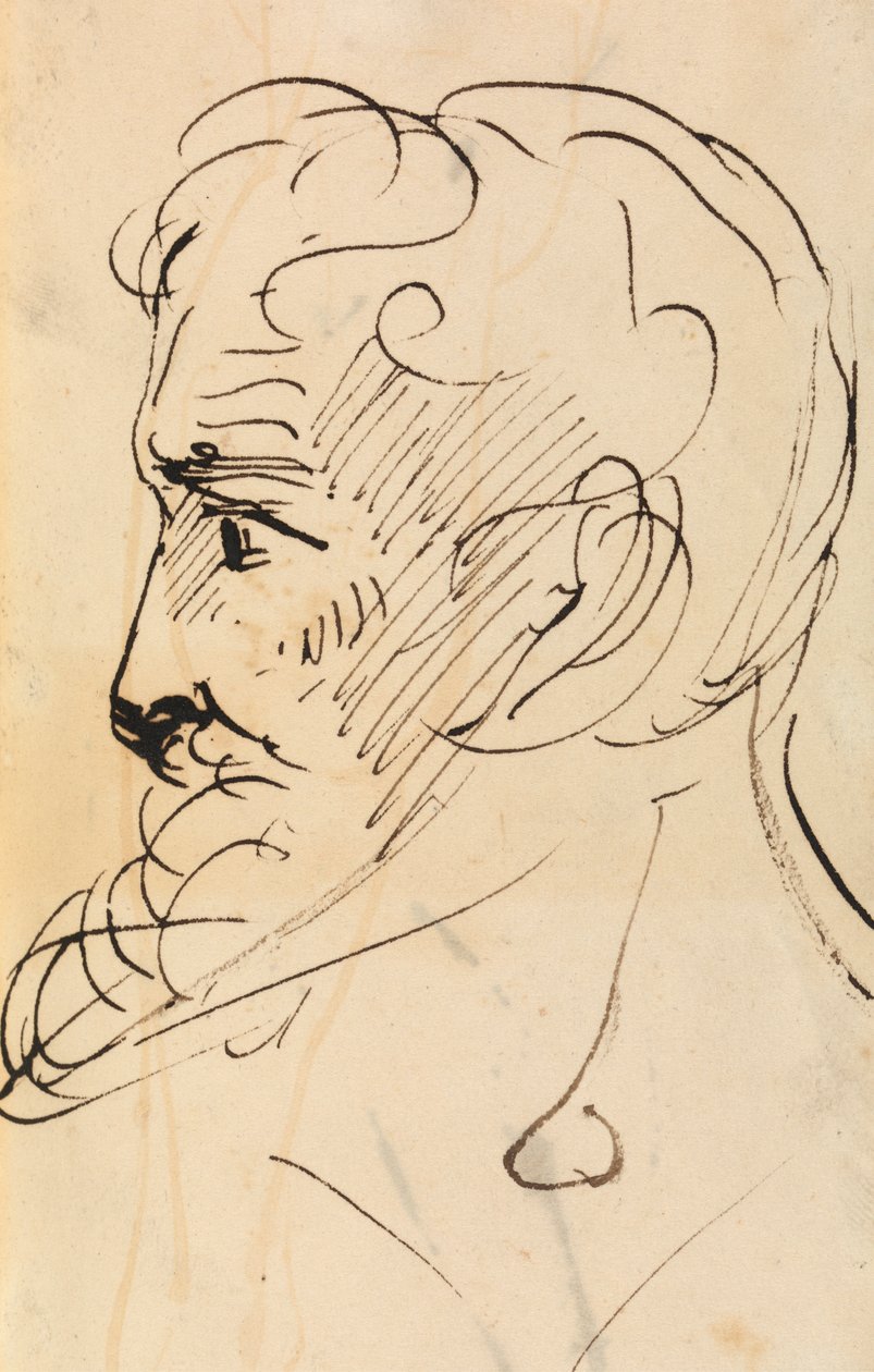 Étude de portrait, profil d