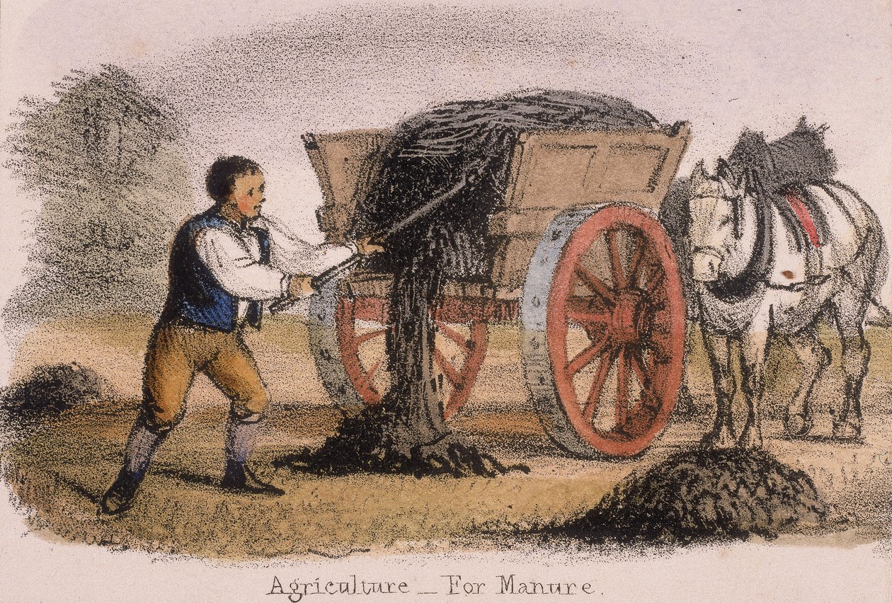 Agriculture, pour le fumier - Benjamin Waterhouse Hawkins
