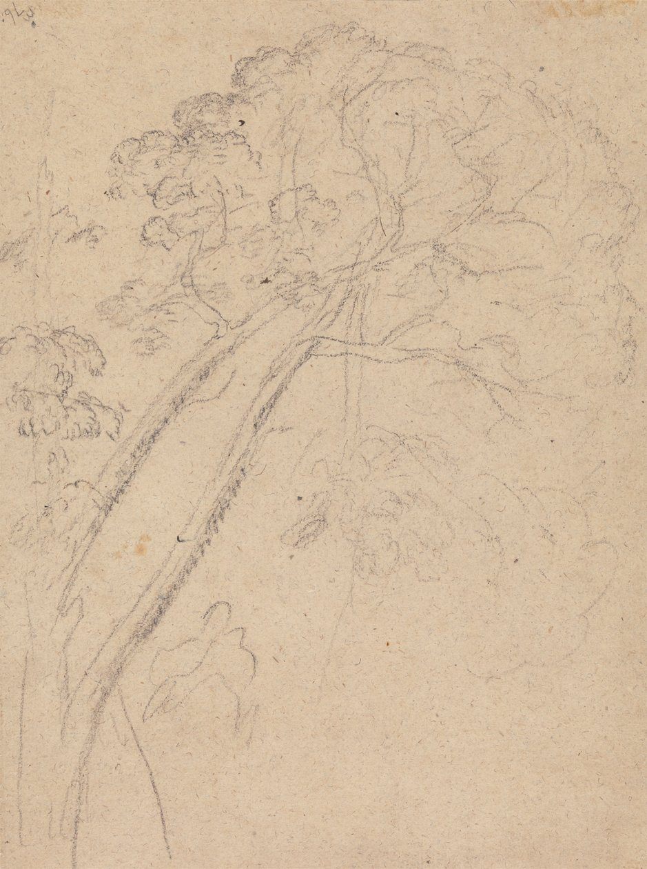 Étude de costume pour le portrait d