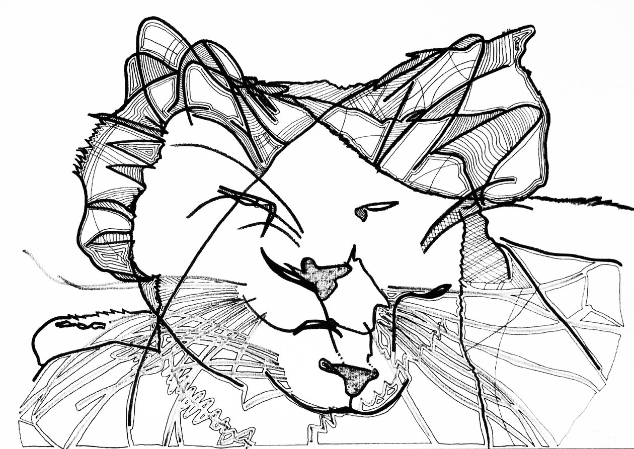 Double chat, 2019 (encre sur papier) - Benoit Erwann Boucherot