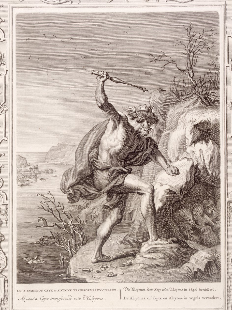 Alcyone et Ceix transformés en oiseaux, 1730 - Bernard Picart