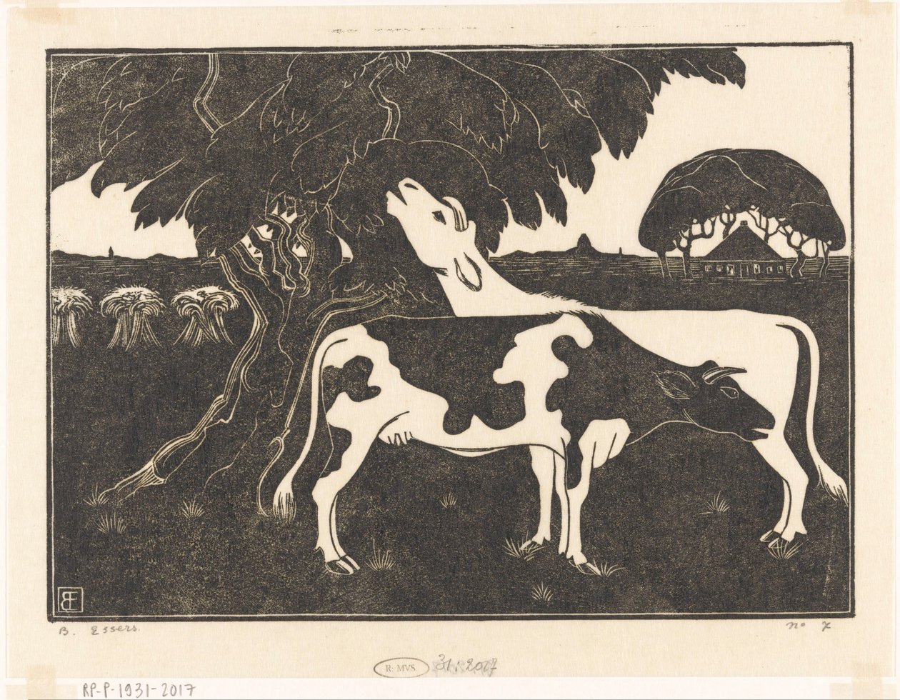 Deux vaches près d