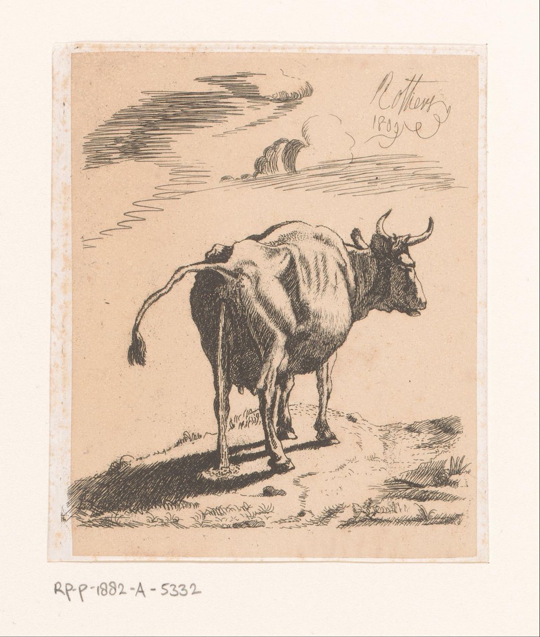 Vache urinant - Bernard Eugène Antoine Rottiers