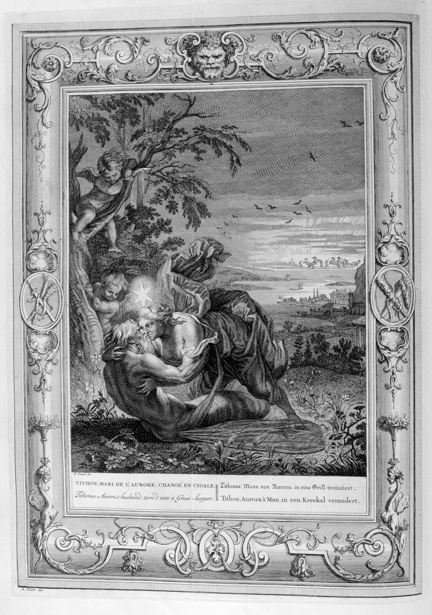 Tithonus, mari d