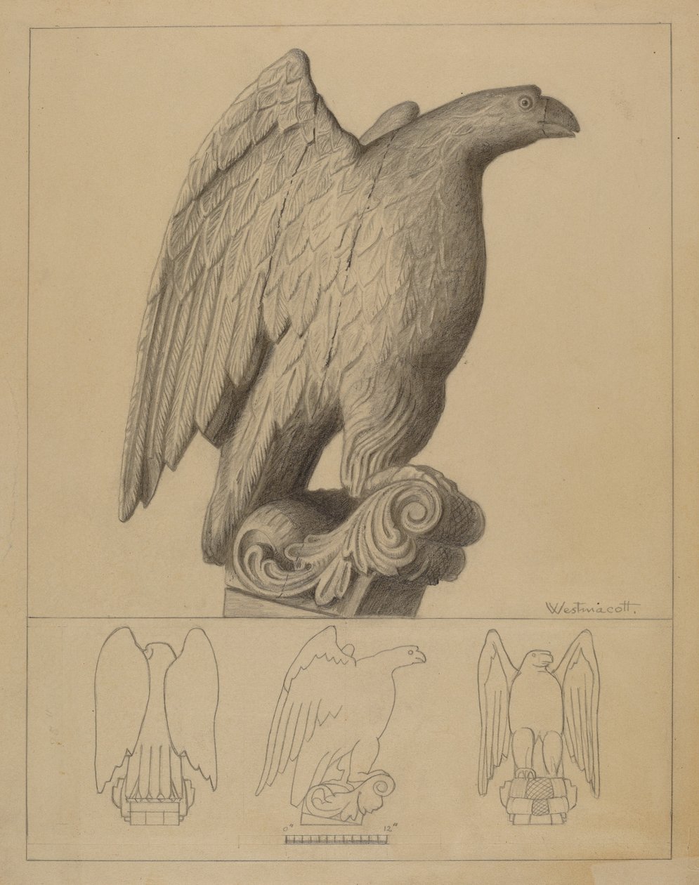 Aigle - Bernard Westmacott