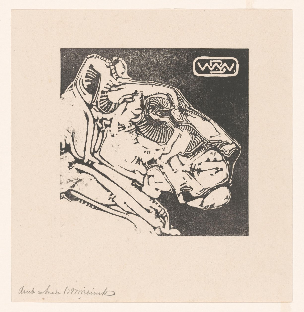 Tête de lionne - Bernard Willem Wierink (signed by artist)