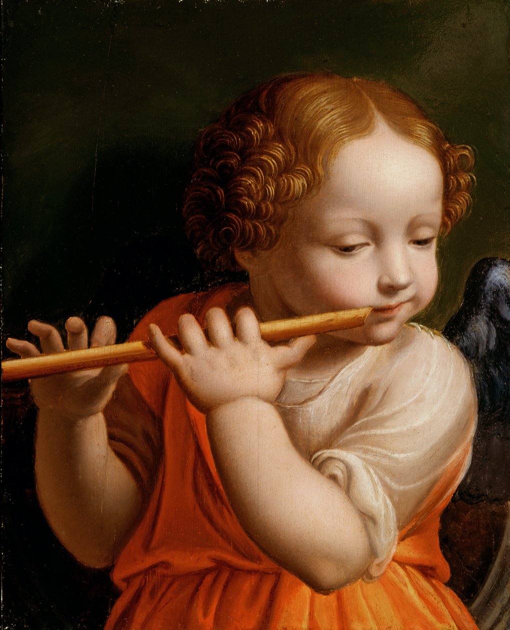 Ange enfant jouant de la flûte, vers 1500 - Bernardino Luini