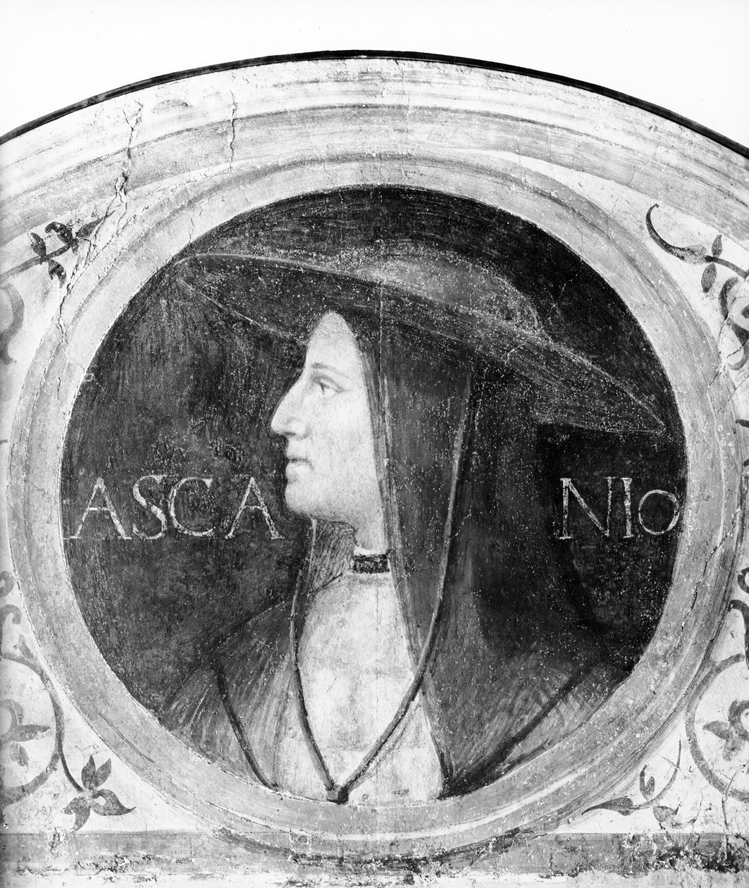 Portrait du cardinal Ascanio Sforza - Bernardino Luini