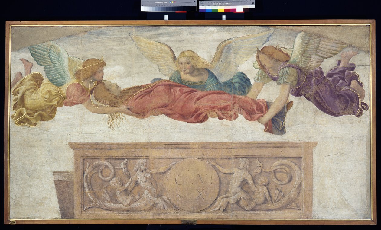 Le corps de Sainte Catherine porté par des anges, c.1514 (détaché de la fresque portée sur panneau) - Bernardino Luini
