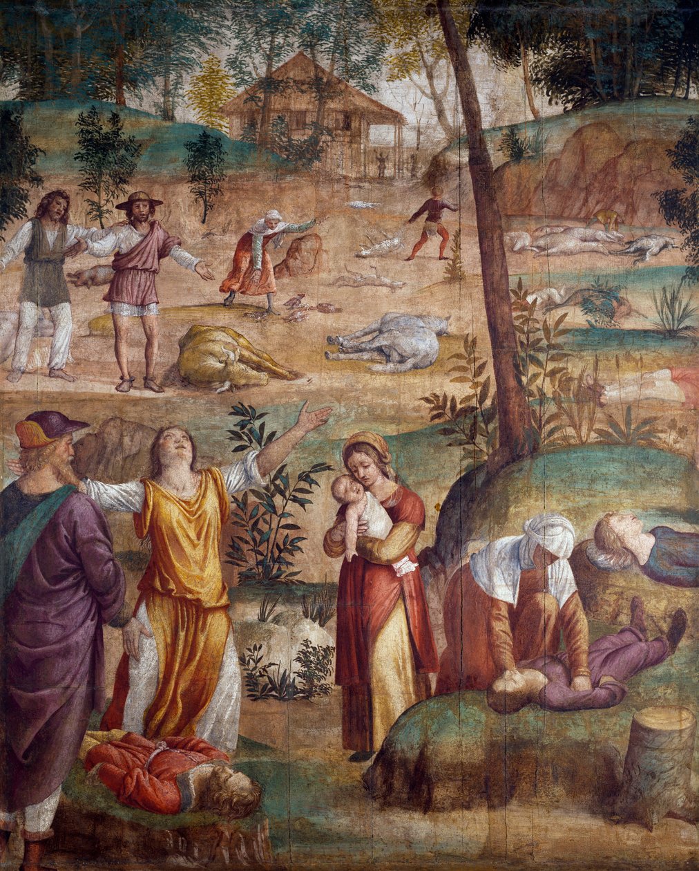 La mort du premier-né, par Bernardino Luini, fresque transférée sur bois - Bernardino Luini