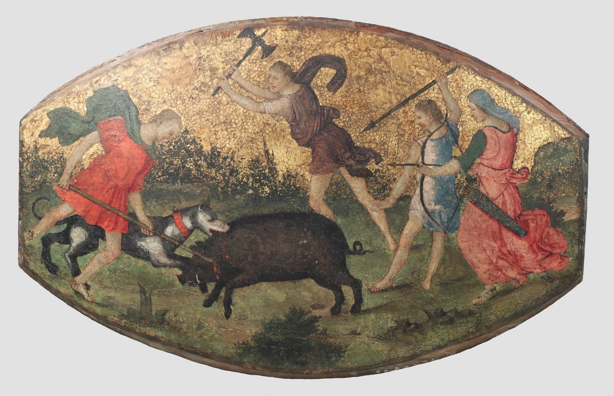 Chasse au sanglier de Calydon, vers 1509 - Bernardino Pinturicchio